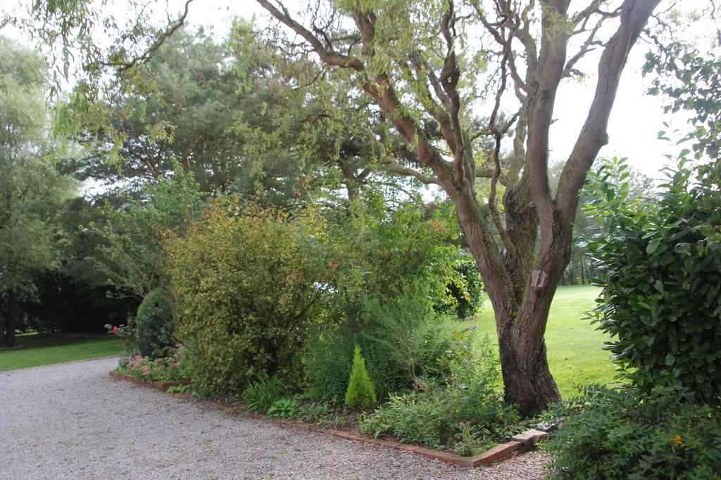 Au Coeur Des Hôtes Steenvoorde Exterior foto